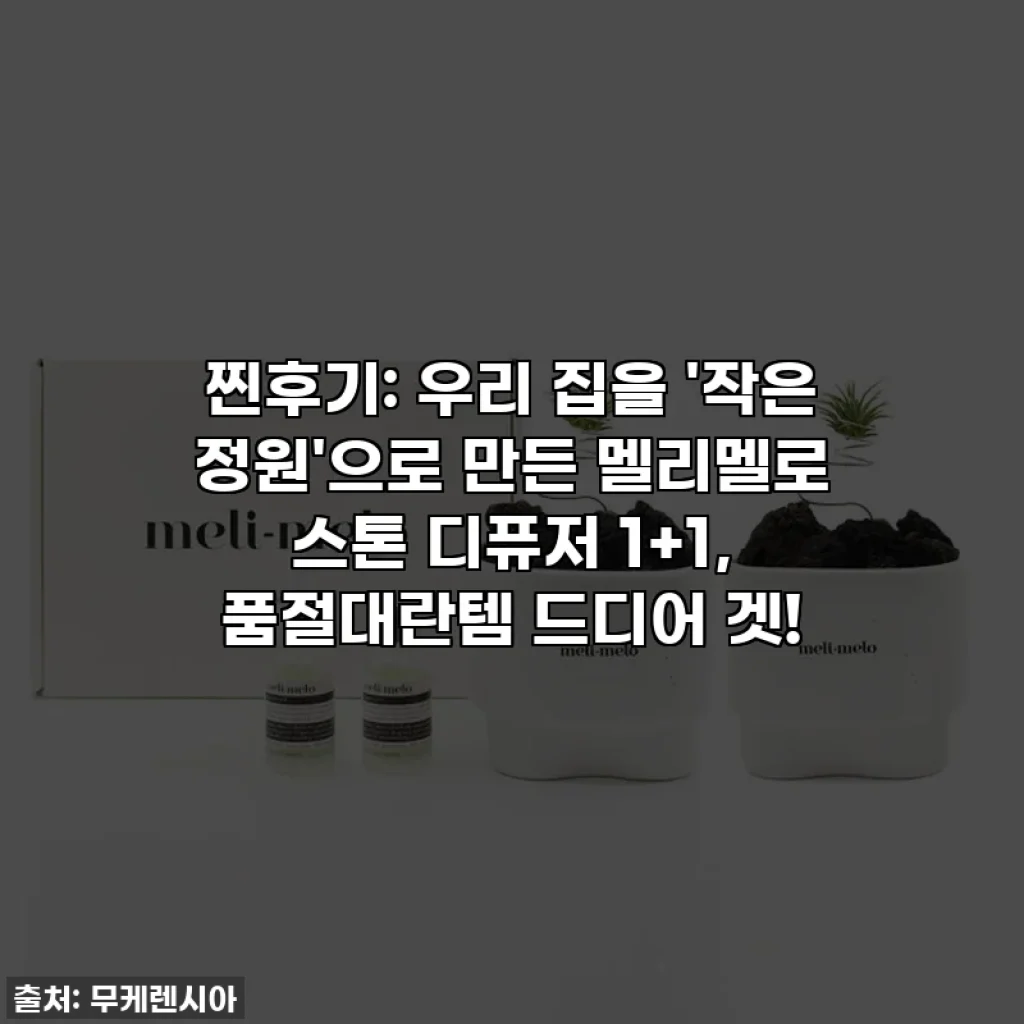 찐후기: 우리 집을 '작은 정원'으로 만든 멜리멜로 스톤 디퓨저 1+1, 품절대란템 드디어 겟!