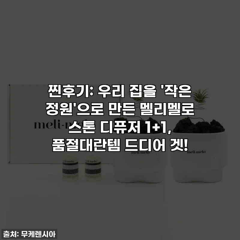 찐후기: 우리 집을 '작은 정원'으로 만든 멜리멜로 스톤 디퓨저 1+1, 품절대란템 드디어 겟!