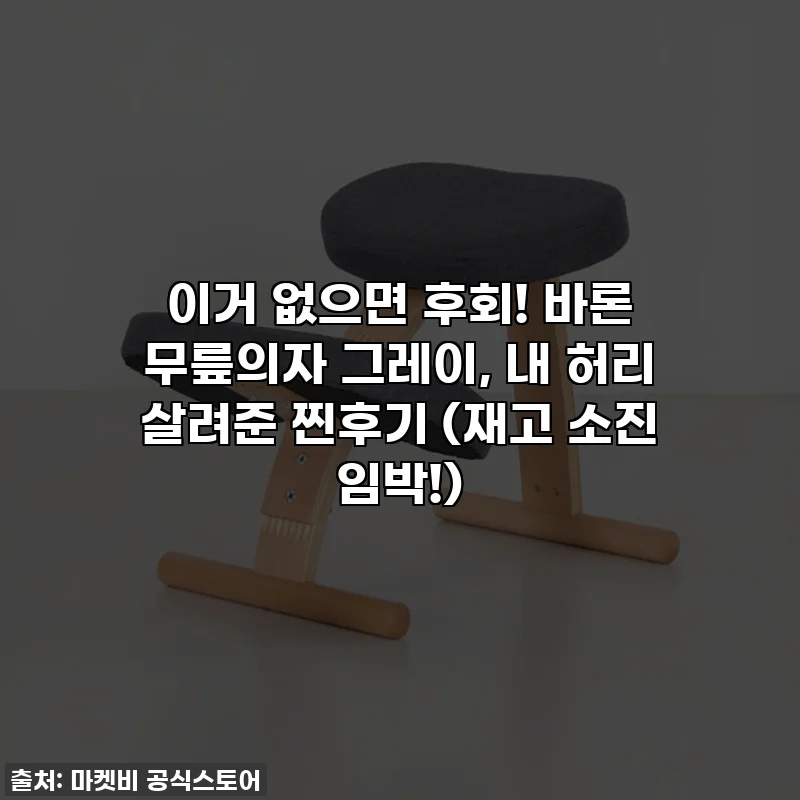 이거 없으면 후회! 바론 무릎의자 그레이, 내 허리 살려준 찐후기 (재고 소진 임박!)