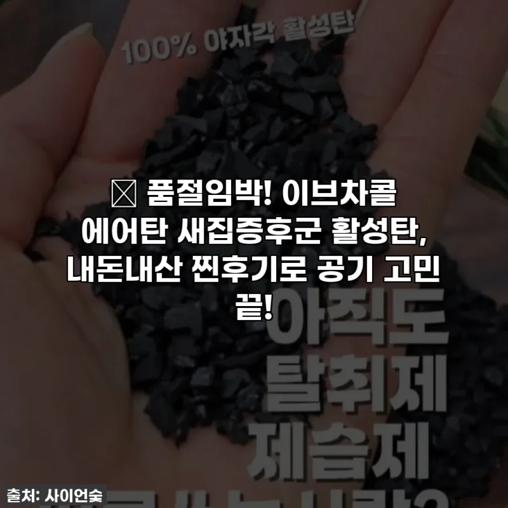 🎁 품절임박! 이브차콜 에어탄 새집증후군 활성탄, 내돈내산 찐후기로 공기 고민 끝!
