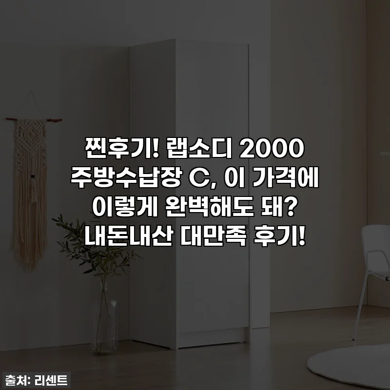 찐후기! 랩소디 2000 주방수납장 C, 이 가격에 이렇게 완벽해도 돼? 내돈내산 대만족 후기!
