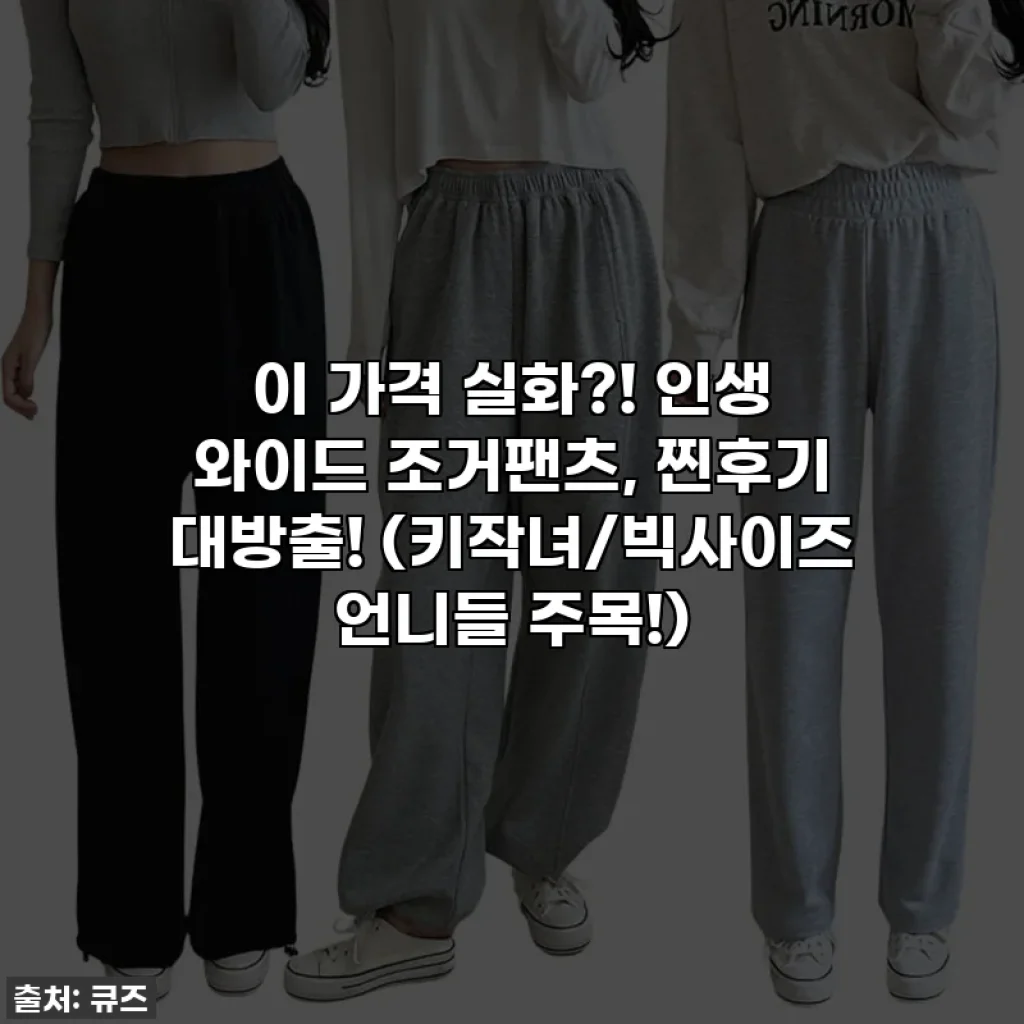 이 가격 실화?! 인생 와이드 조거팬츠, 찐후기 대방출! (키작녀/빅사이즈 언니들 주목!)