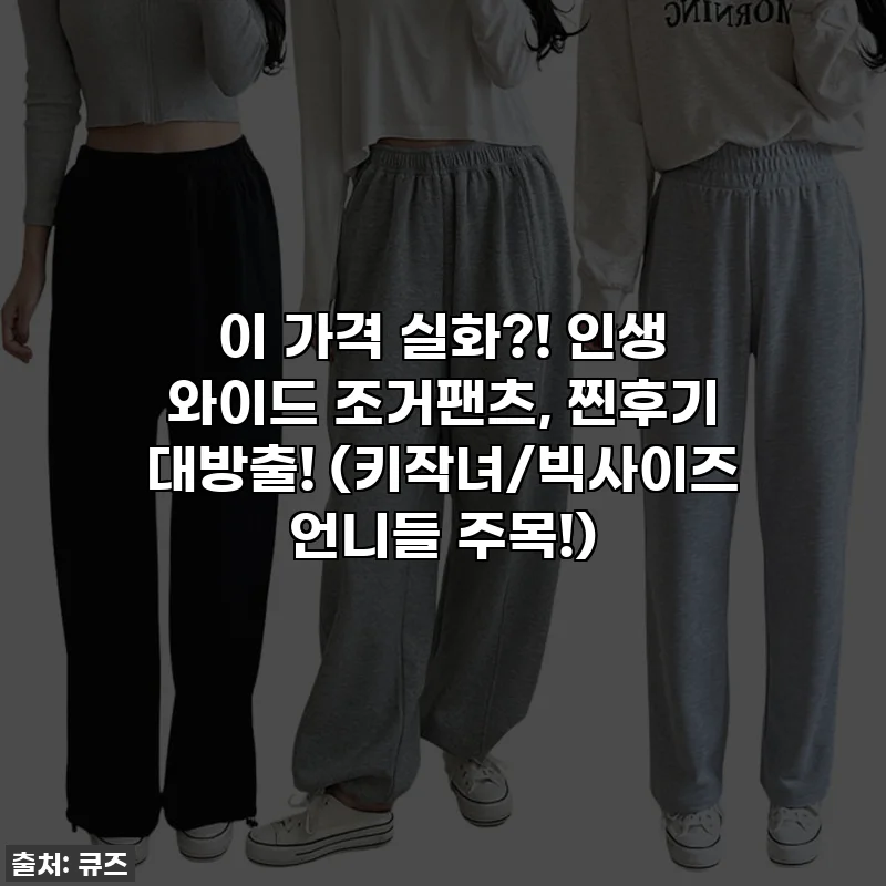이 가격 실화?! 인생 와이드 조거팬츠, 찐후기 대방출! (키작녀/빅사이즈 언니들 주목!)
