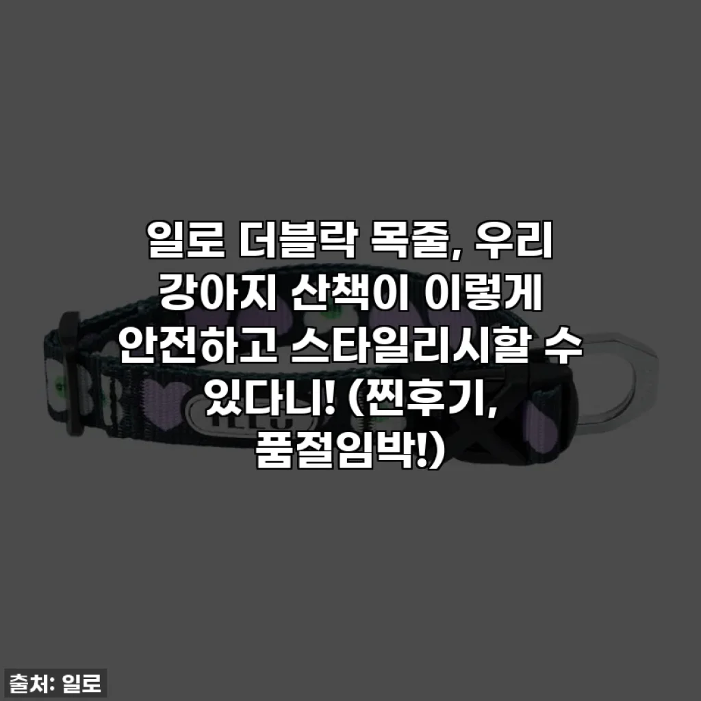 일로 더블락 목줄, 우리 강아지 산책이 이렇게 안전하고 스타일리시할 수 있다니! (찐후기, 품절임박!)