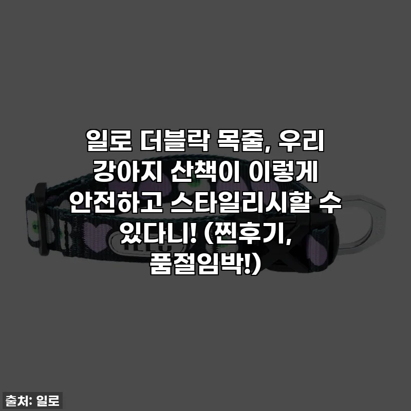 일로 더블락 목줄, 우리 강아지 산책이 이렇게 안전하고 스타일리시할 수 있다니! (찐후기, 품절임박!)