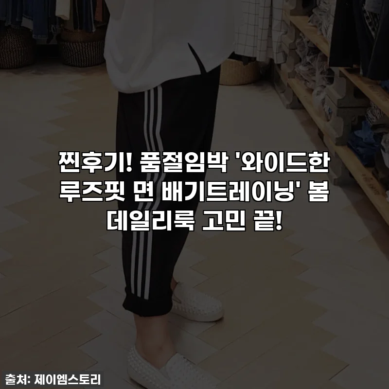 찐후기! 품절임박 '와이드한 루즈핏 면 배기트레이닝' 봄 데일리룩 고민 끝!