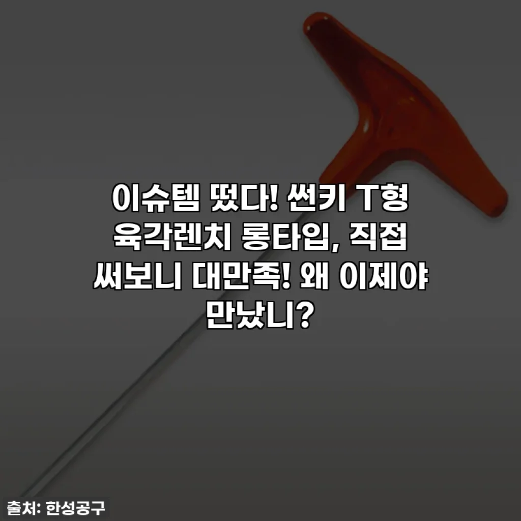 이슈템 떴다! 썬키 T형 육각렌치 롱타입, 직접 써보니 대만족! 왜 이제야 만났니?