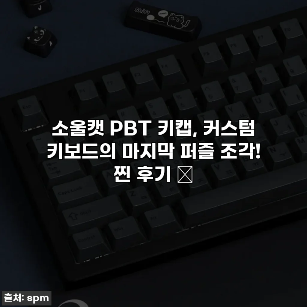 소울캣 PBT 키캡, 커스텀 키보드의 마지막 퍼즐 조각! 찐 후기 ✨