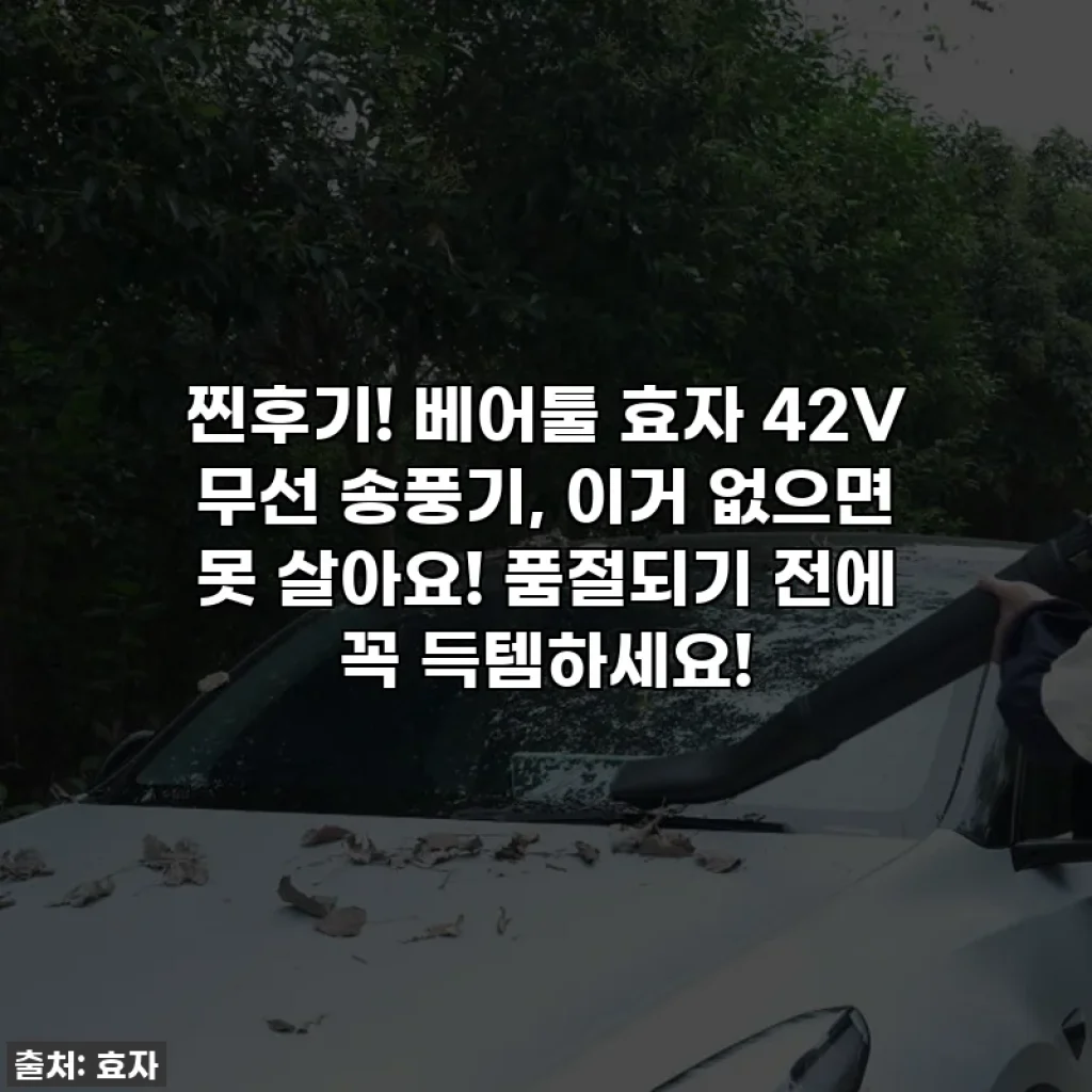 찐후기! 베어툴 효자 42V 무선 송풍기, 이거 없으면 못 살아요! 품절되기 전에 꼭 득템하세요!