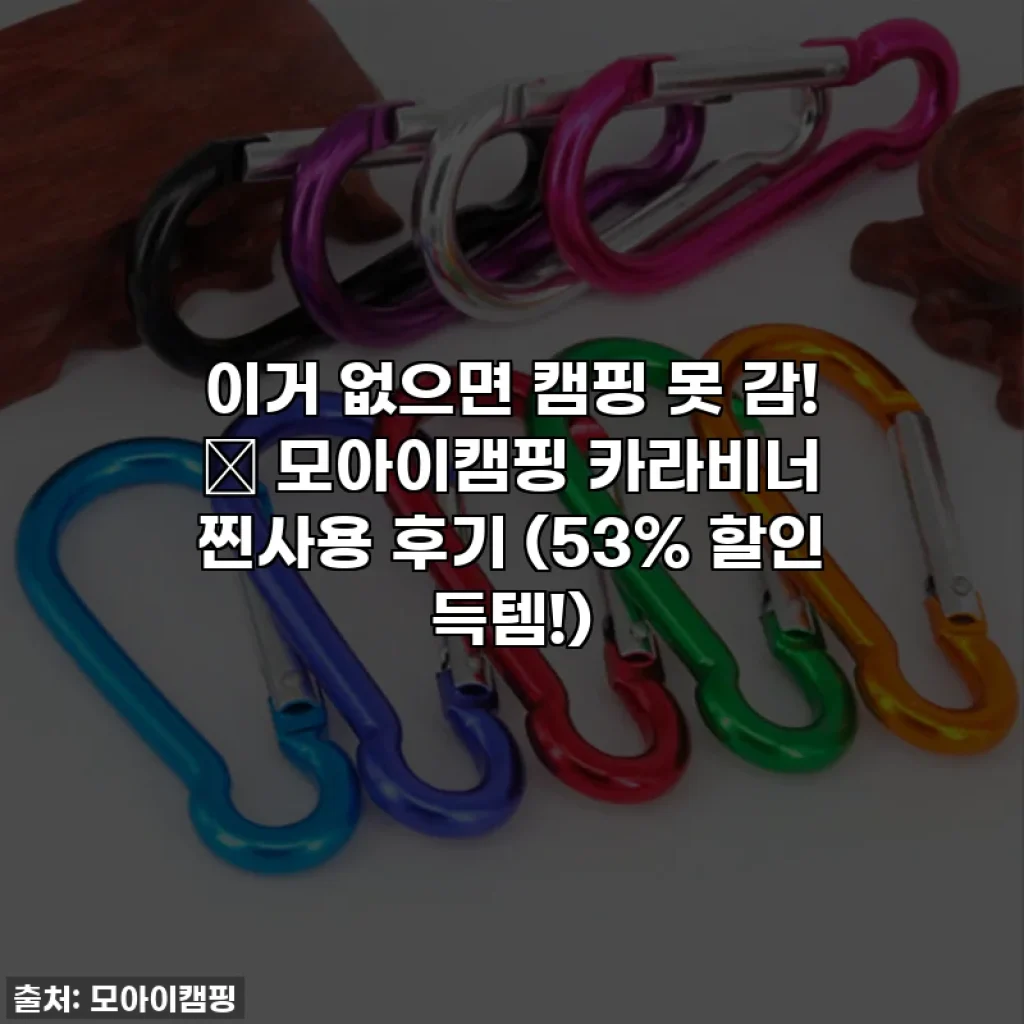 이거 없으면 캠핑 못 감! ✨ 모아이캠핑 카라비너 찐사용 후기 (53% 할인 득템!)