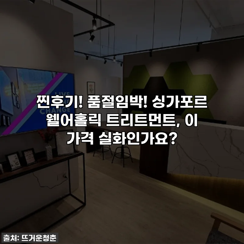 찐후기! 품절임박! 싱가포르 웰어홀릭 트리트먼트, 이 가격 실화인가요?