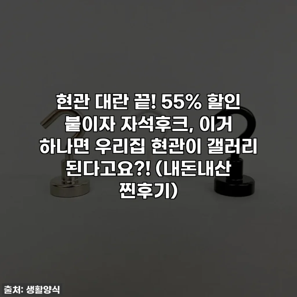 현관 대란 끝! 55% 할인 붙이자 자석후크, 이거 하나면 우리집 현관이 갤러리 된다고요?! (내돈내산 찐후기)