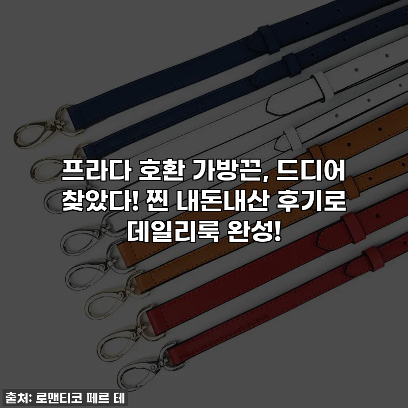프라다 호환 가방끈, 드디어 찾았다! 찐 내돈내산 후기로 데일리룩 완성!