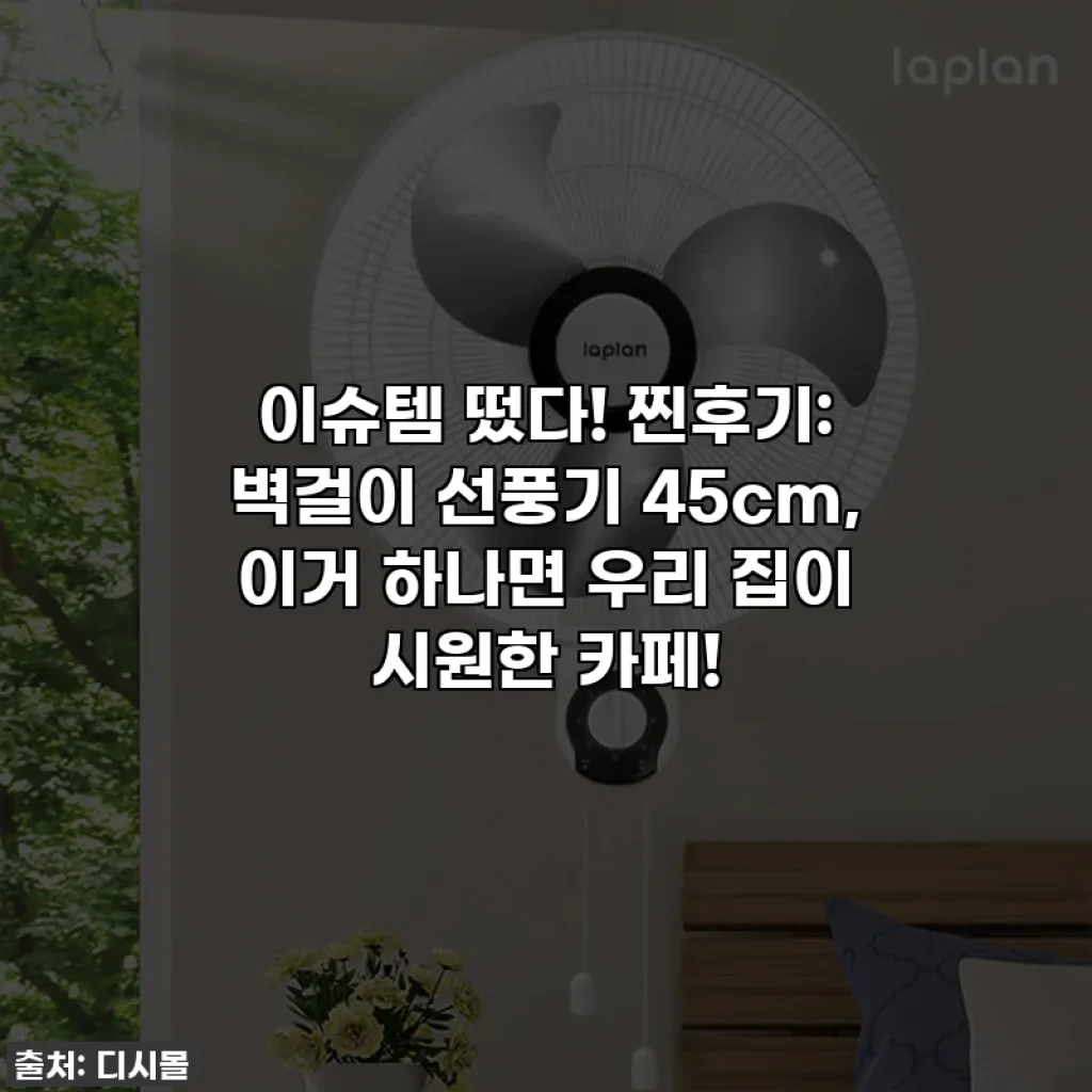 이슈템 떴다! 찐후기: 벽걸이 선풍기 45cm, 이거 하나면 우리 집이 시원한 카페!