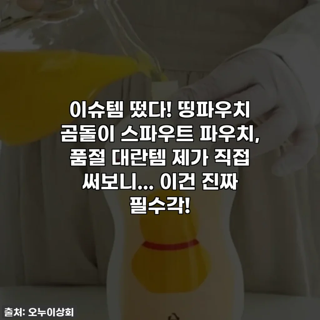 이슈템 떴다! 띵파우치 곰돌이 스파우트 파우치, 품절 대란템 제가 직접 써보니... 이건 진짜 필수각!