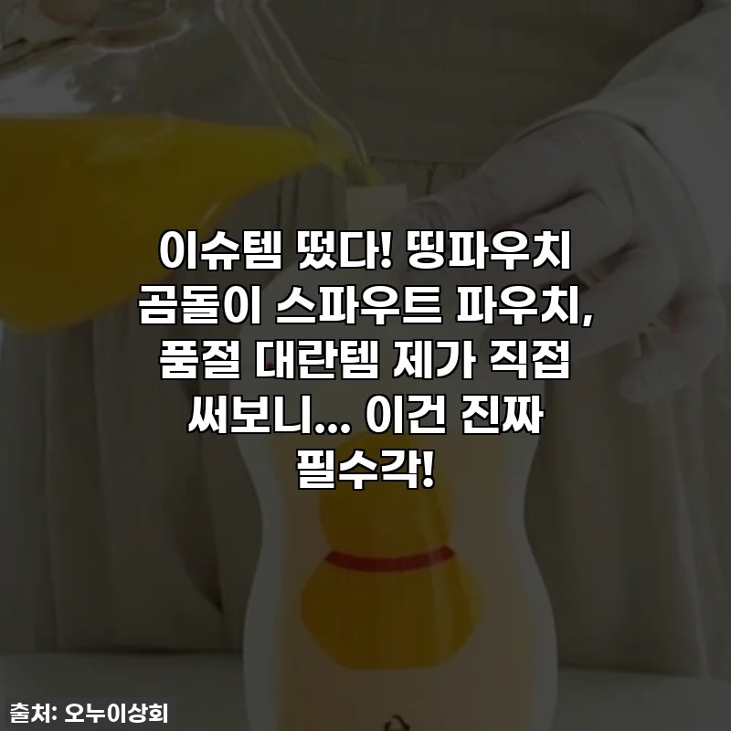 이슈템 떴다! 띵파우치 곰돌이 스파우트 파우치, 품절 대란템 제가 직접 써보니... 이건 진짜 필수각!