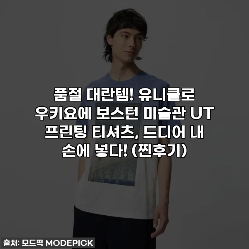 품절 대란템! 유니클로 우키요에 보스턴 미술관 UT 프린팅 티셔츠, 드디어 내 손에 넣다! (찐후기)
