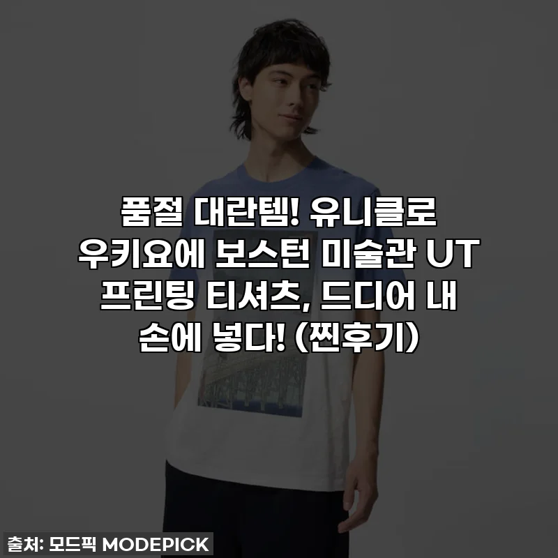 품절 대란템! 유니클로 우키요에 보스턴 미술관 UT 프린팅 티셔츠, 드디어 내 손에 넣다! (찐후기)