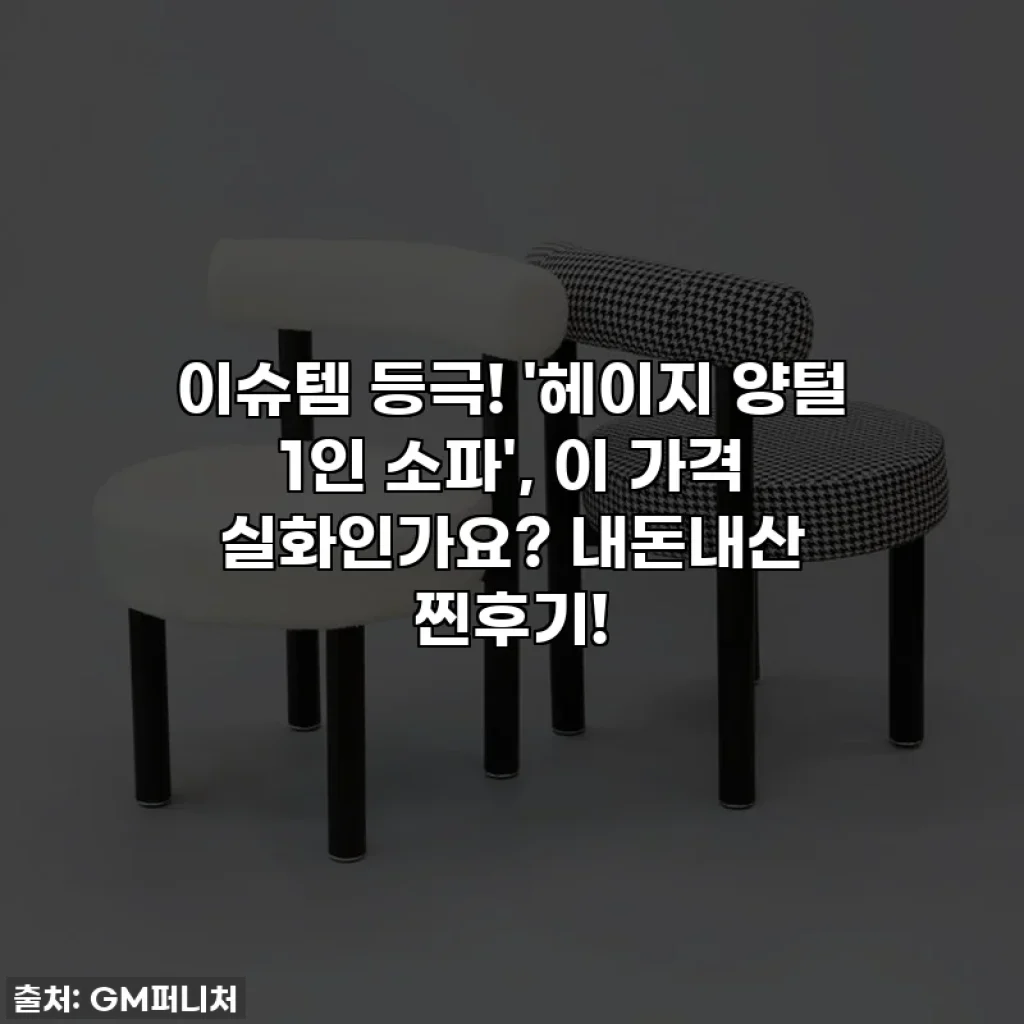 이슈템 등극! '헤이지 양털 1인 소파', 이 가격 실화인가요? 내돈내산 찐후기!