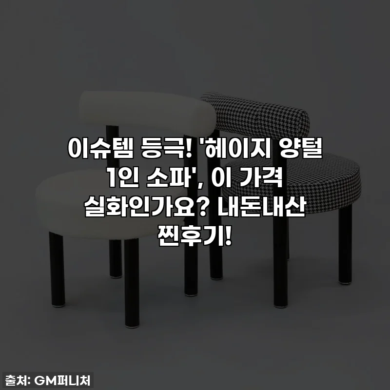 이슈템 등극! '헤이지 양털 1인 소파', 이 가격 실화인가요? 내돈내산 찐후기!