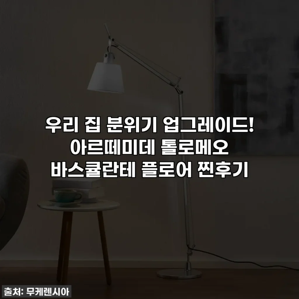 우리 집 분위기 업그레이드! 아르떼미데 톨로메오 바스큘란테 플로어 찐후기