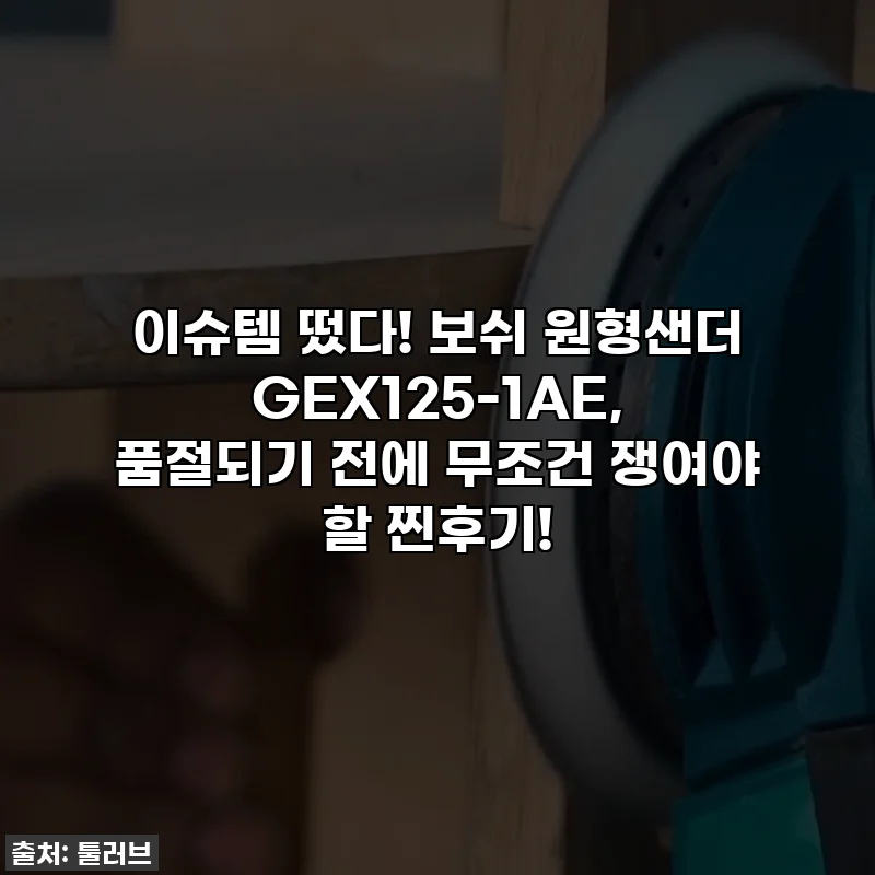 이슈템 떴다! 보쉬 원형샌더 GEX125-1AE, 품절되기 전에 무조건 쟁여야 할 찐후기!