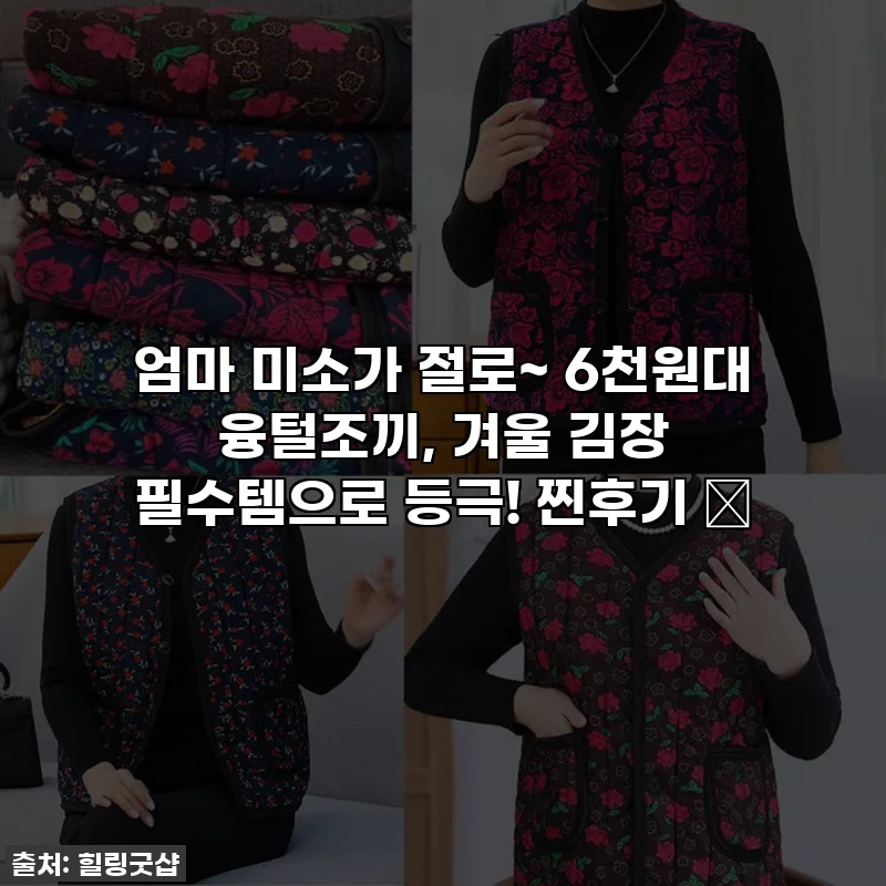 엄마 미소가 절로~ 6천원대 융털조끼, 겨울 김장 필수템으로 등극! 찐후기 💖