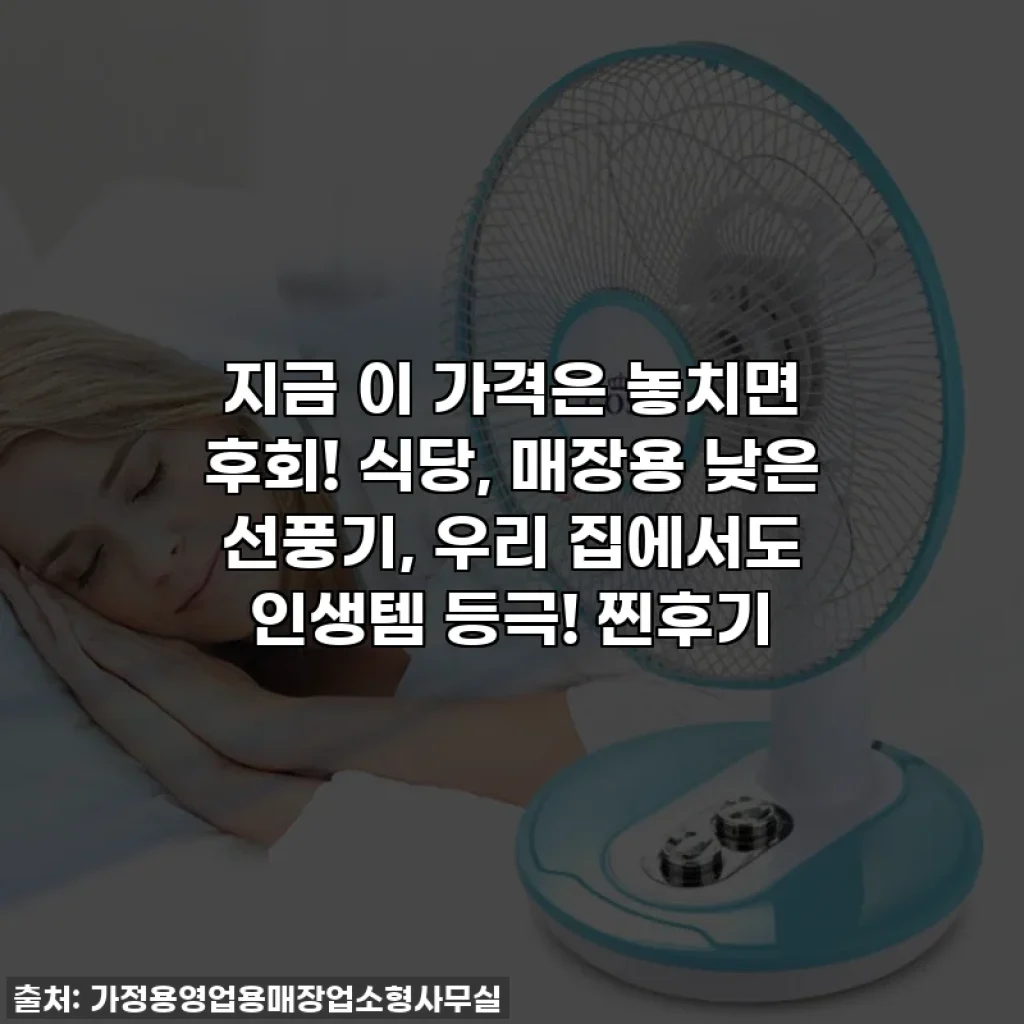 지금 이 가격은 놓치면 후회! 식당, 매장용 낮은 선풍기, 우리 집에서도 인생템 등극! 찐후기