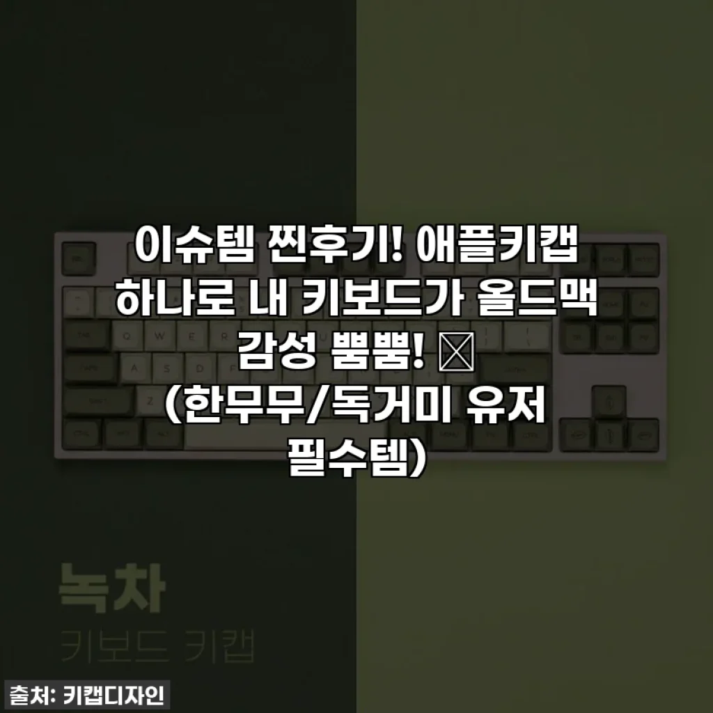 이슈템 찐후기! 애플키캡 하나로 내 키보드가 올드맥 감성 뿜뿜! ✨ (한무무/독거미 유저 필수템)