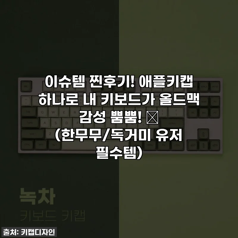 이슈템 찐후기! 애플키캡 하나로 내 키보드가 올드맥 감성 뿜뿜! ✨ (한무무/독거미 유저 필수템)