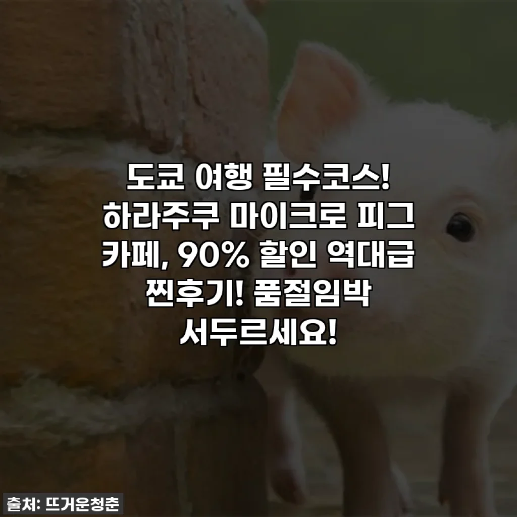 도쿄 여행 필수코스! 하라주쿠 마이크로 피그 카페, 90% 할인 역대급 찐후기! 품절임박 서두르세요!