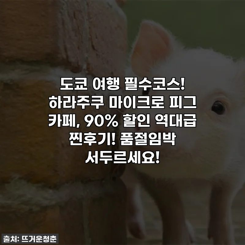 도쿄 여행 필수코스! 하라주쿠 마이크로 피그 카페, 90% 할인 역대급 찐후기! 품절임박 서두르세요!