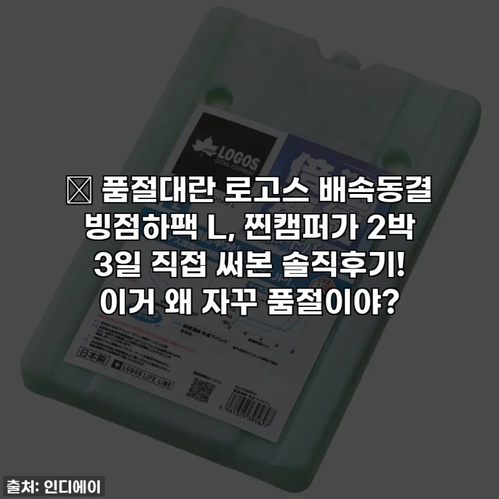🔥 품절대란 로고스 배속동결 빙점하팩 L, 찐캠퍼가 2박 3일 직접 써본 솔직후기! 이거 왜 자꾸 품절이야?