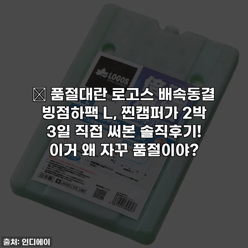 🔥 품절대란 로고스 배속동결 빙점하팩 L, 찐캠퍼가 2박 3일 직접 써본 솔직후기! 이거 왜 자꾸 품절이야?