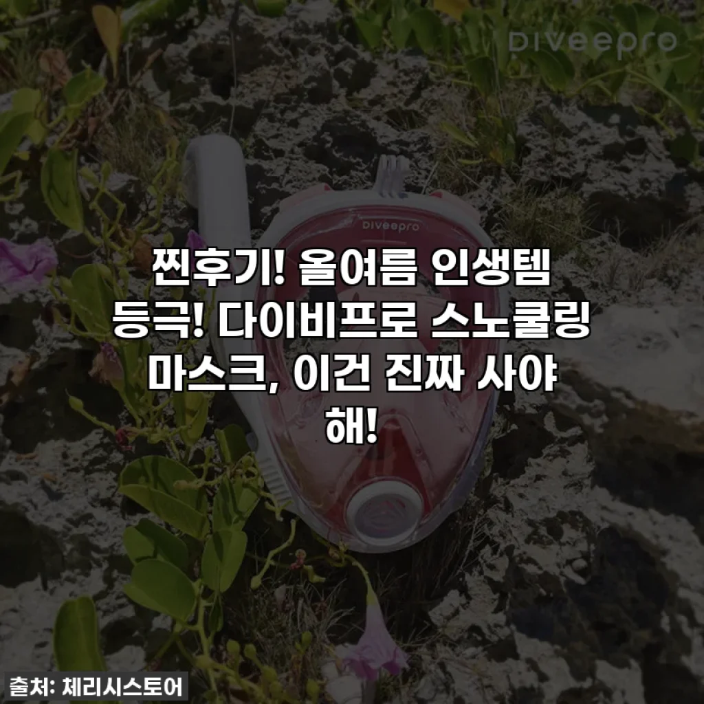 찐후기! 올여름 인생템 등극! 다이비프로 스노쿨링 마스크, 이건 진짜 사야 해!