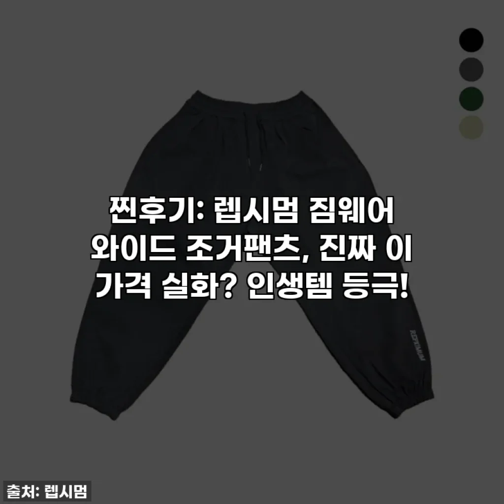 찐후기: 렙시멈 짐웨어 와이드 조거팬츠, 진짜 이 가격 실화? 인생템 등극!