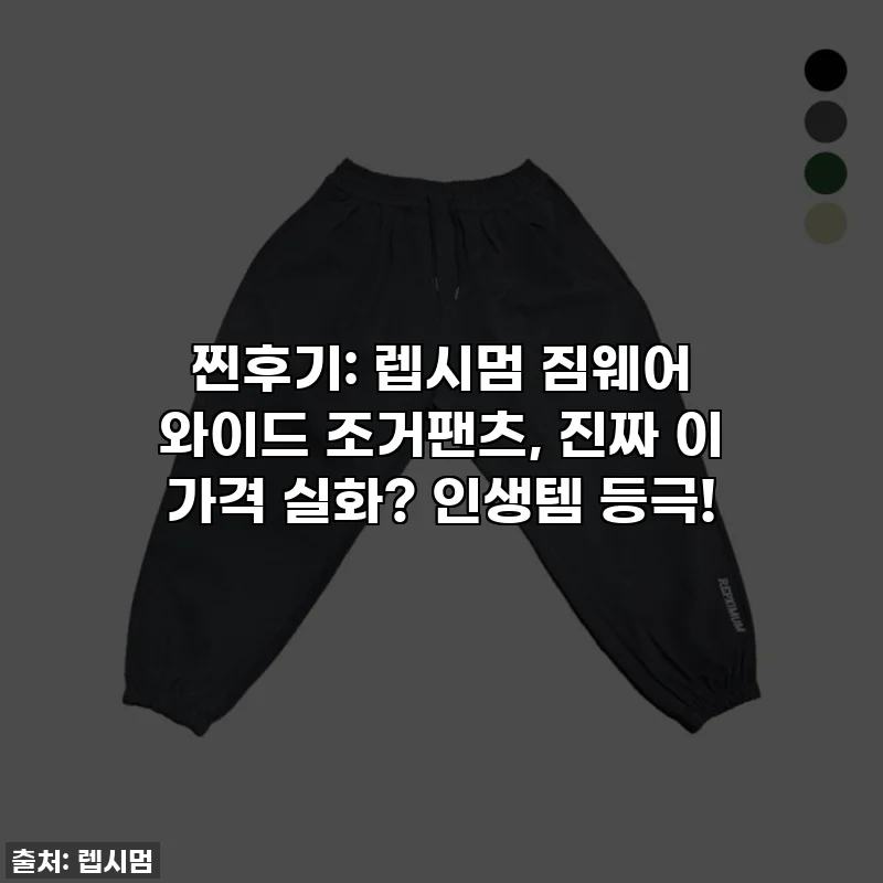 찐후기: 렙시멈 짐웨어 와이드 조거팬츠, 진짜 이 가격 실화? 인생템 등극!