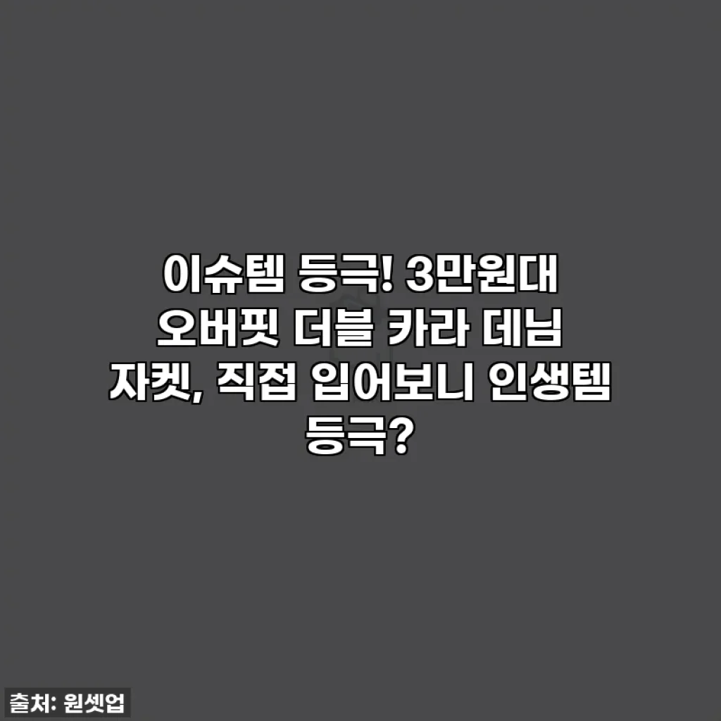 이슈템 등극! 3만원대 오버핏 더블 카라 데님 자켓, 직접 입어보니 인생템 등극?