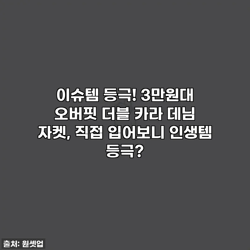 이슈템 등극! 3만원대 오버핏 더블 카라 데님 자켓, 직접 입어보니 인생템 등극?