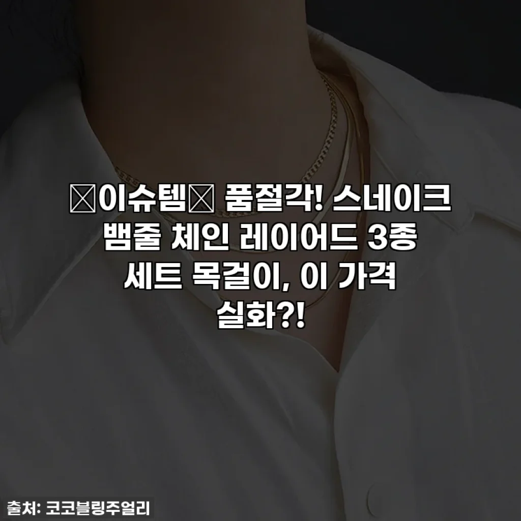 💥이슈템💥 품절각! 스네이크 뱀줄 체인 레이어드 3종 세트 목걸이, 이 가격 실화?!