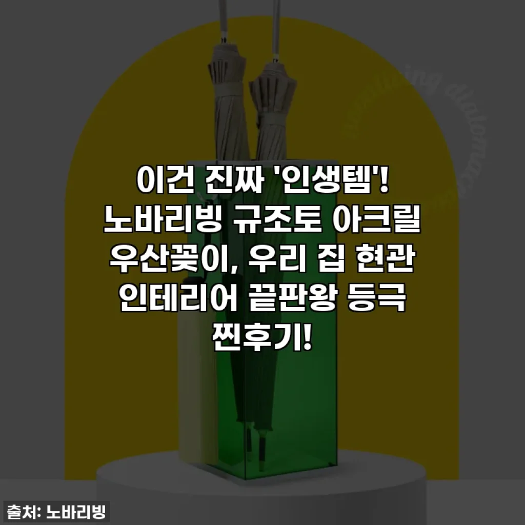 이건 진짜 '인생템'! 노바리빙 규조토 아크릴 우산꽂이, 우리 집 현관 인테리어 끝판왕 등극 찐후기!