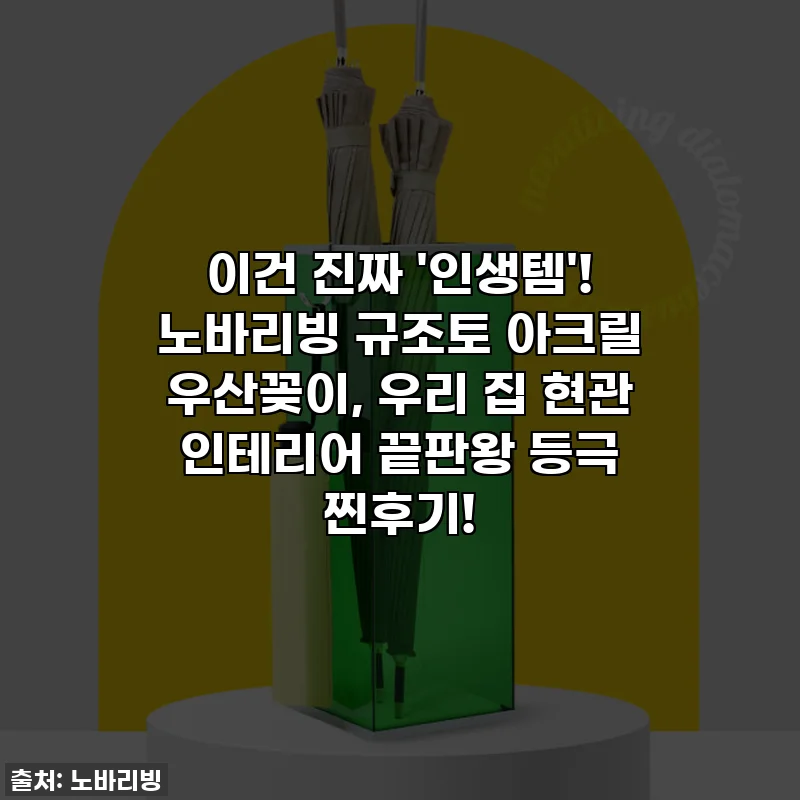이건 진짜 '인생템'! 노바리빙 규조토 아크릴 우산꽂이, 우리 집 현관 인테리어 끝판왕 등극 찐후기!