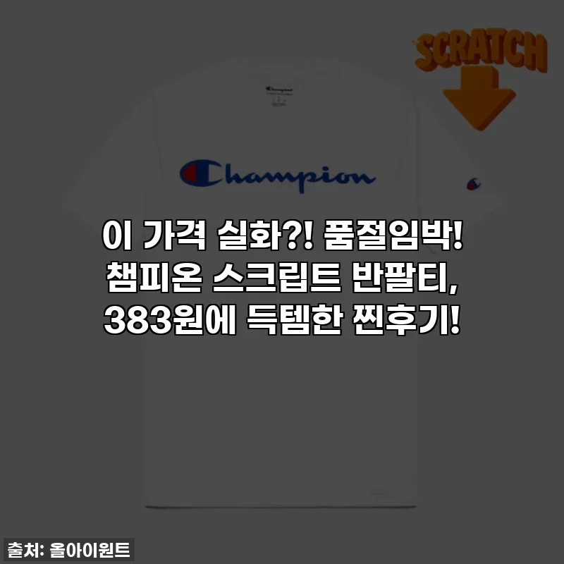 이 가격 실화?! 품절임박! 챔피온 스크립트 반팔티, 383원에 득템한 찐후기!