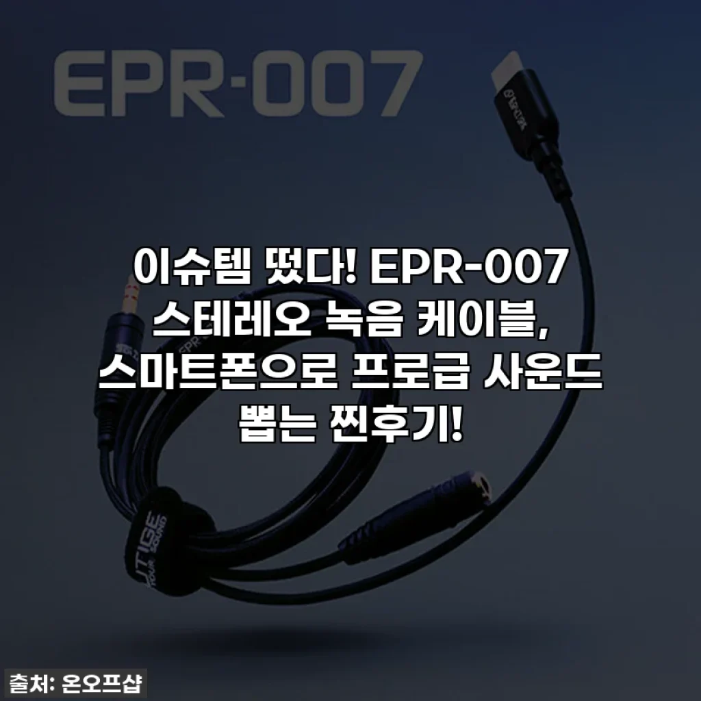 이슈템 떴다! EPR-007 스테레오 녹음 케이블, 스마트폰으로 프로급 사운드 뽑는 찐후기!