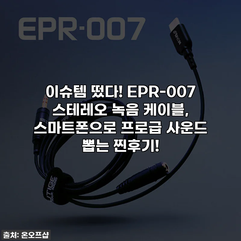이슈템 떴다! EPR-007 스테레오 녹음 케이블, 스마트폰으로 프로급 사운드 뽑는 찐후기!
