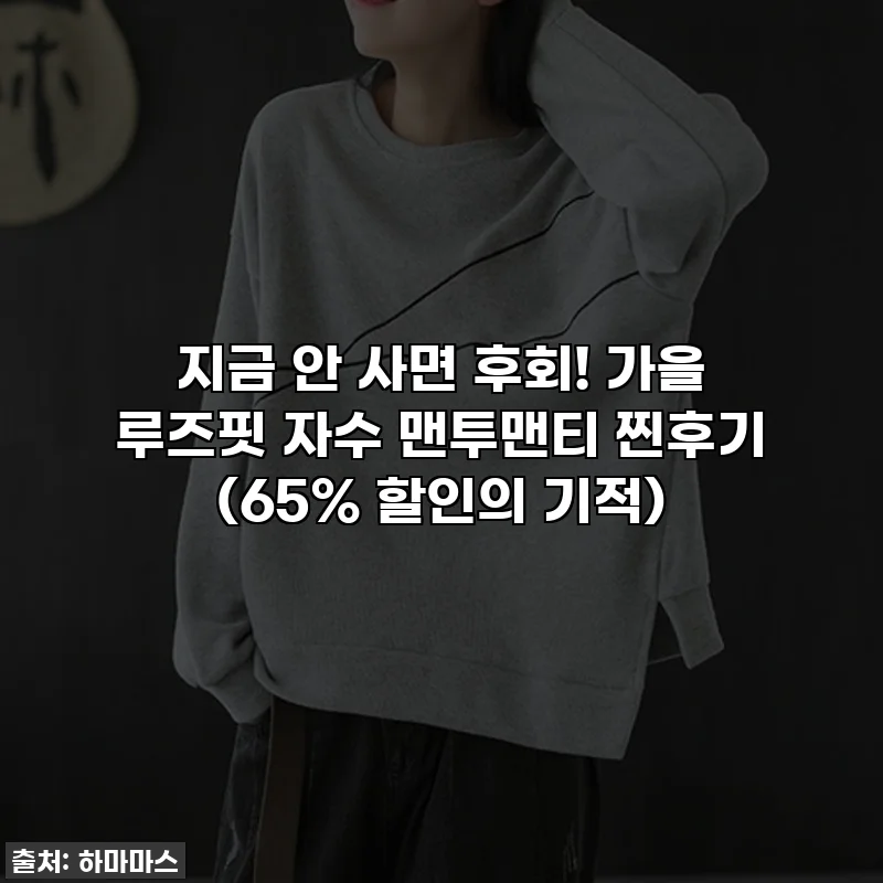 지금 안 사면 후회! 가을 루즈핏 자수 맨투맨티 찐후기 (65% 할인의 기적)
