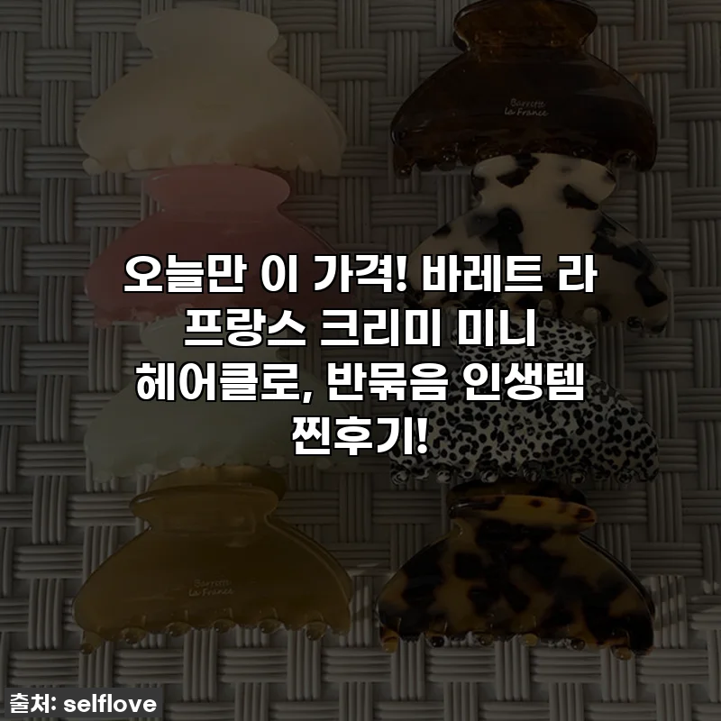 오늘만 이 가격! 바레트 라 프랑스 크리미 미니 헤어클로, 반묶음 인생템 찐후기!