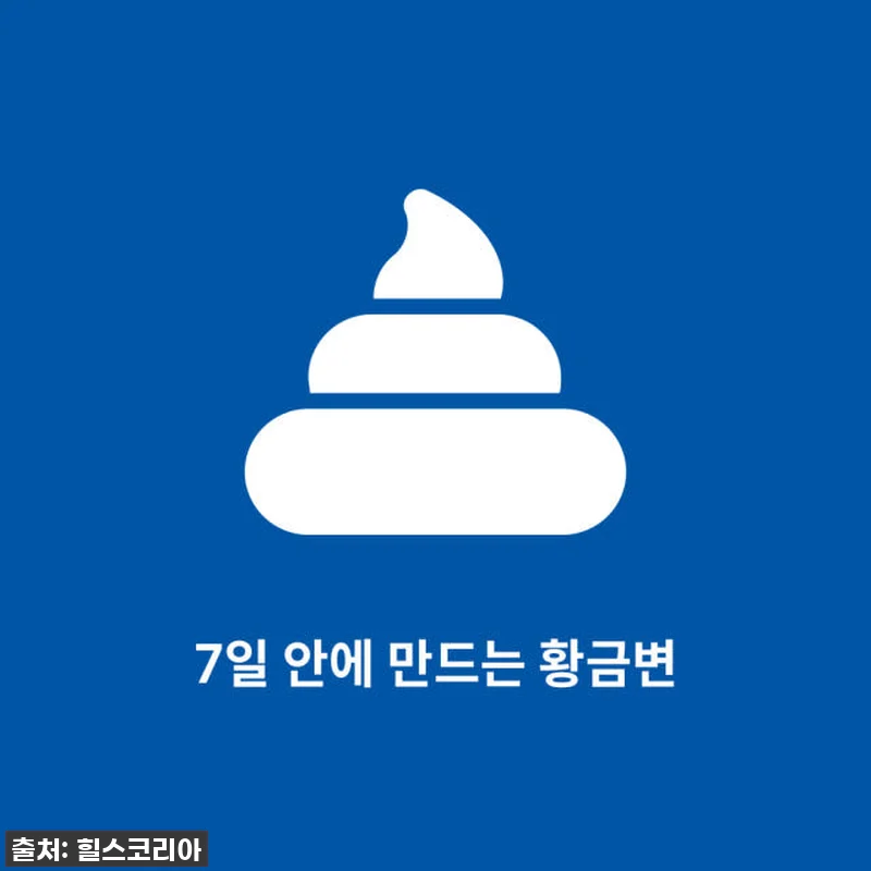 힐스 고양이 소화기 건강 사료 퍼펙트 관련 이미지 1
