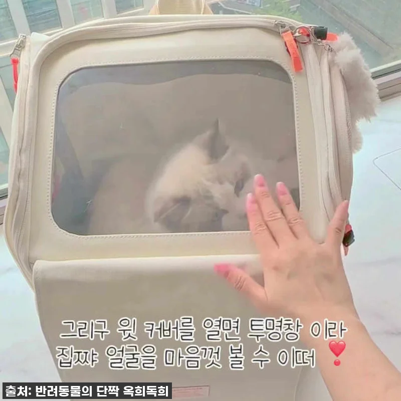 고민 끝에 만난 인생템! 옥희독희 안 관련 이미지 7