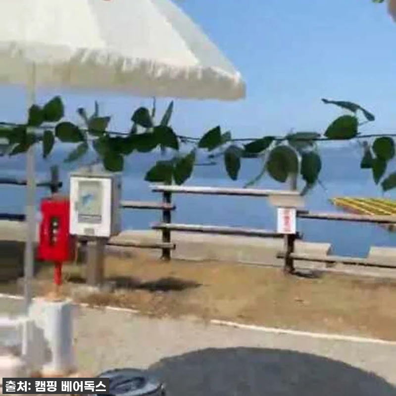 이슈템 떴다! 코베아 와이드 롤 테이 관련 이미지 8